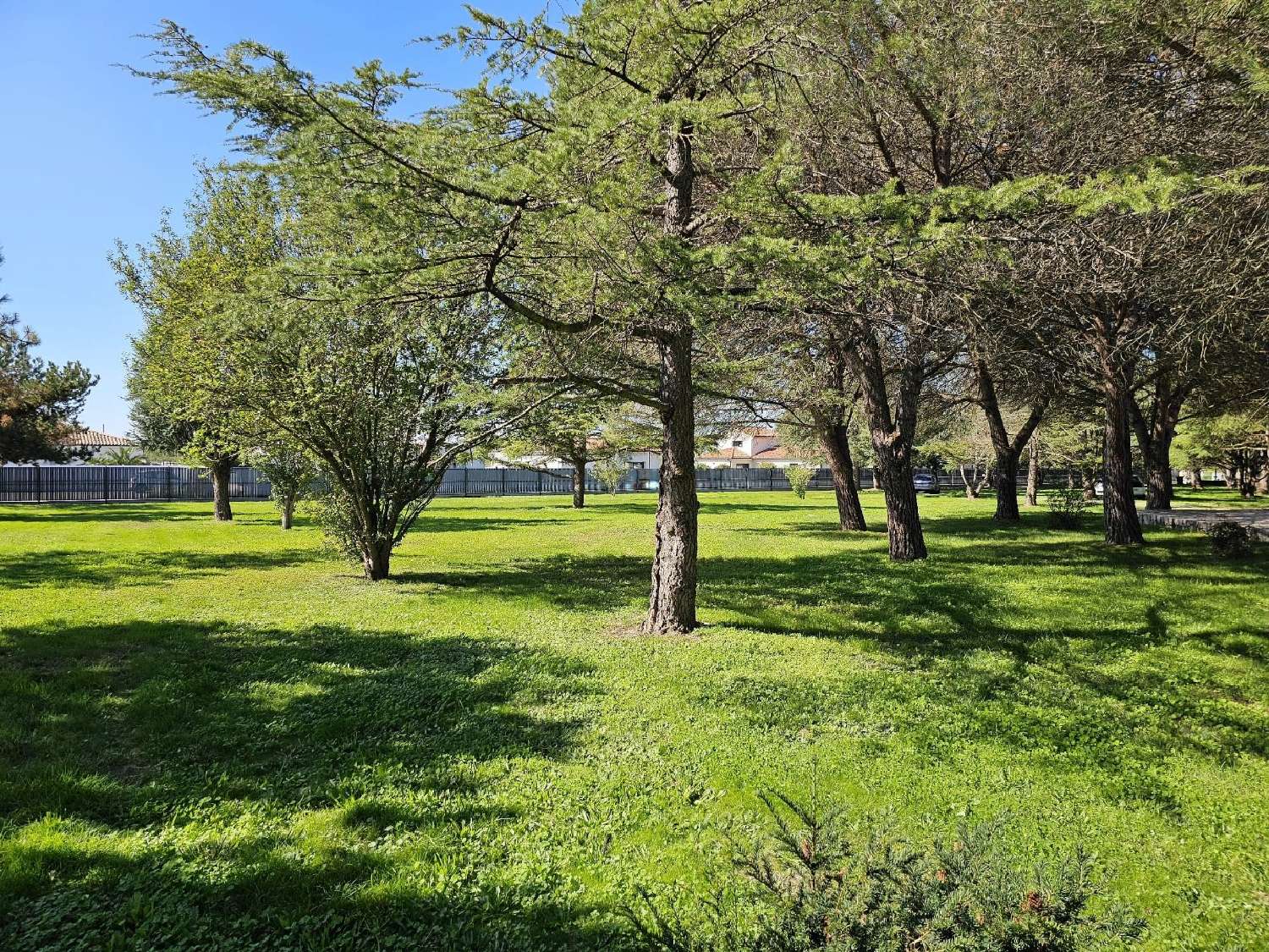 à vendre villa Labarthe-sur-Lèze Haute-Garonne 4