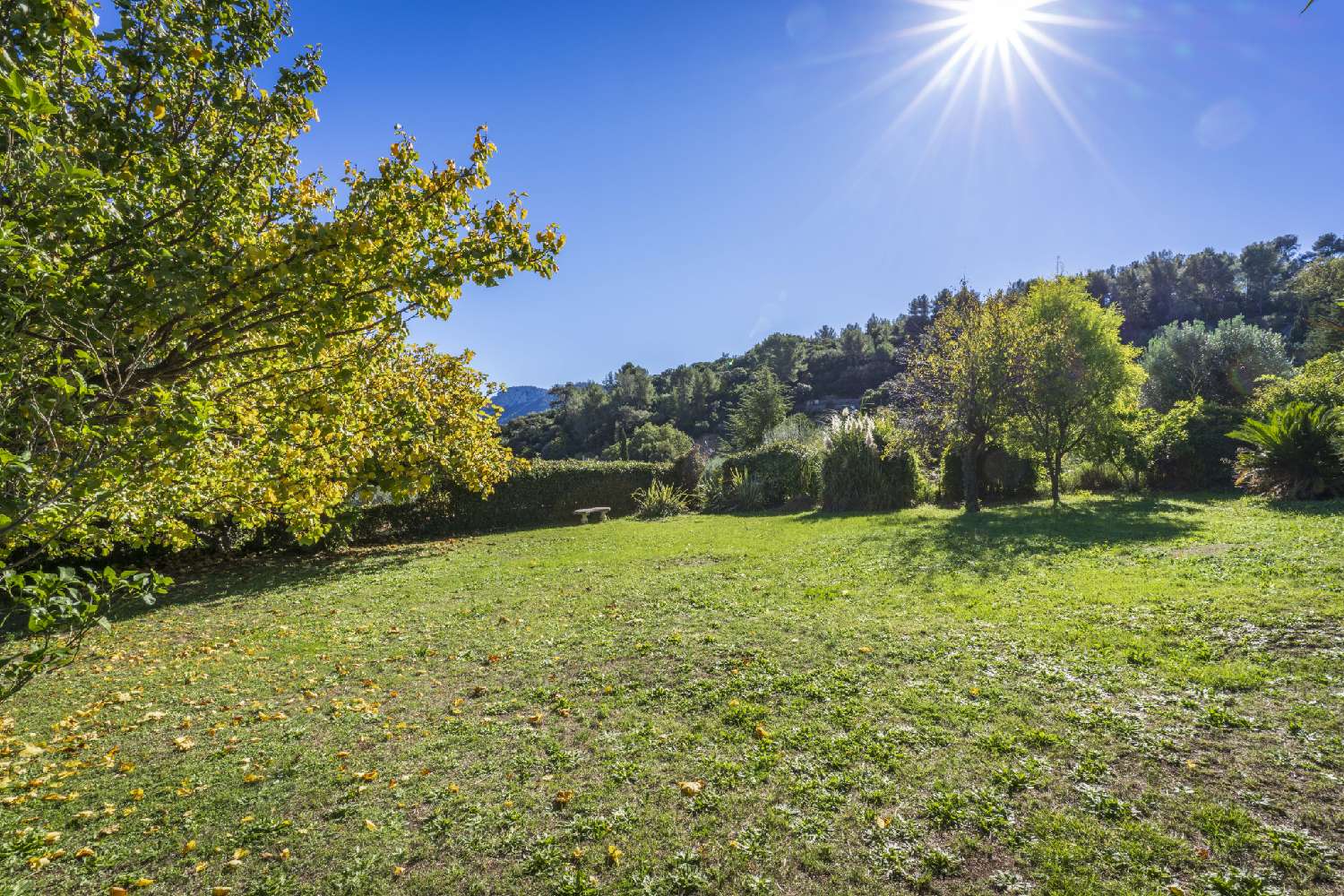  te koop villa Le Revest-les-Eaux Var 6