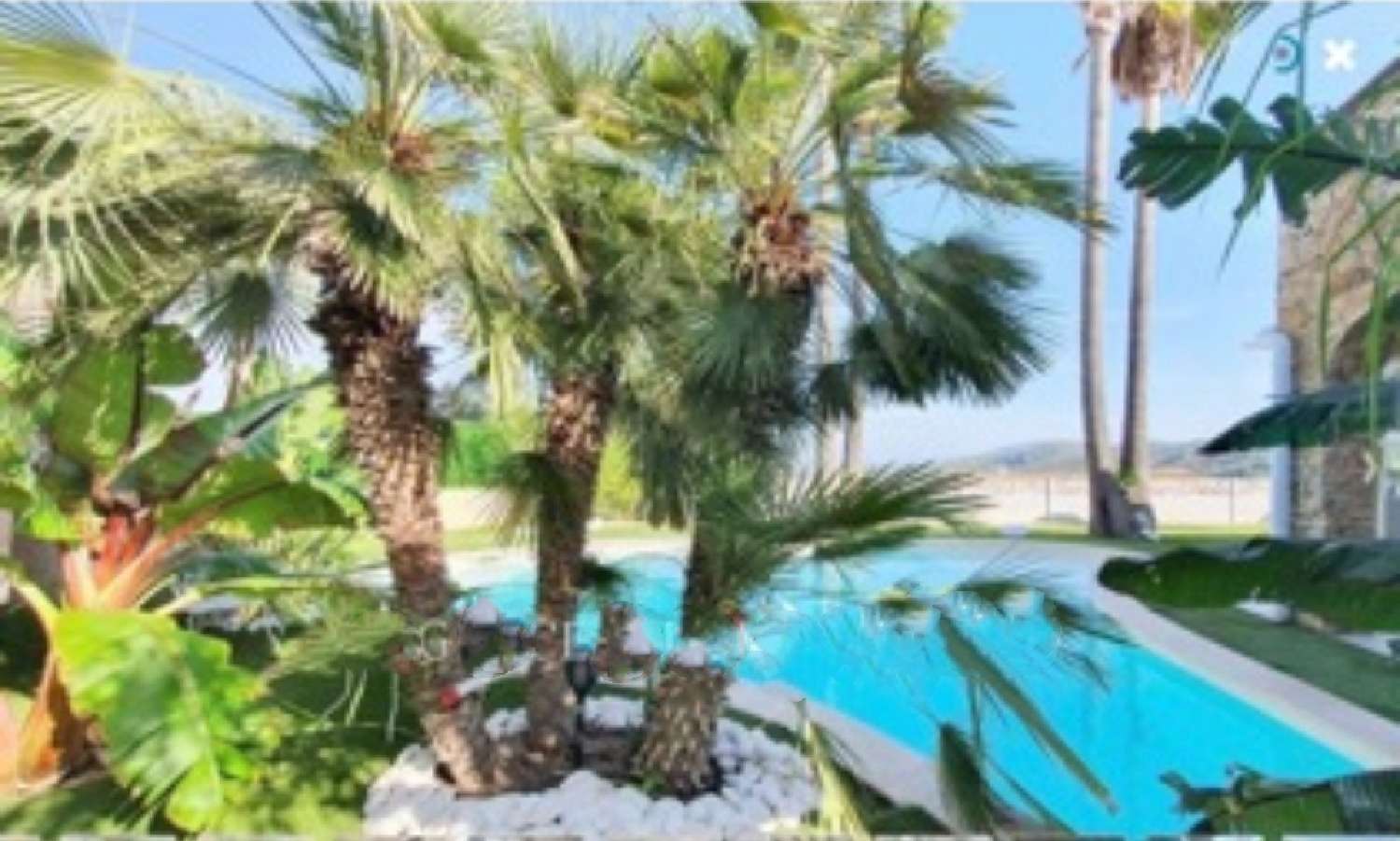  te koop villa Mandelieu-la-Napoule Alpes-Maritimes 2