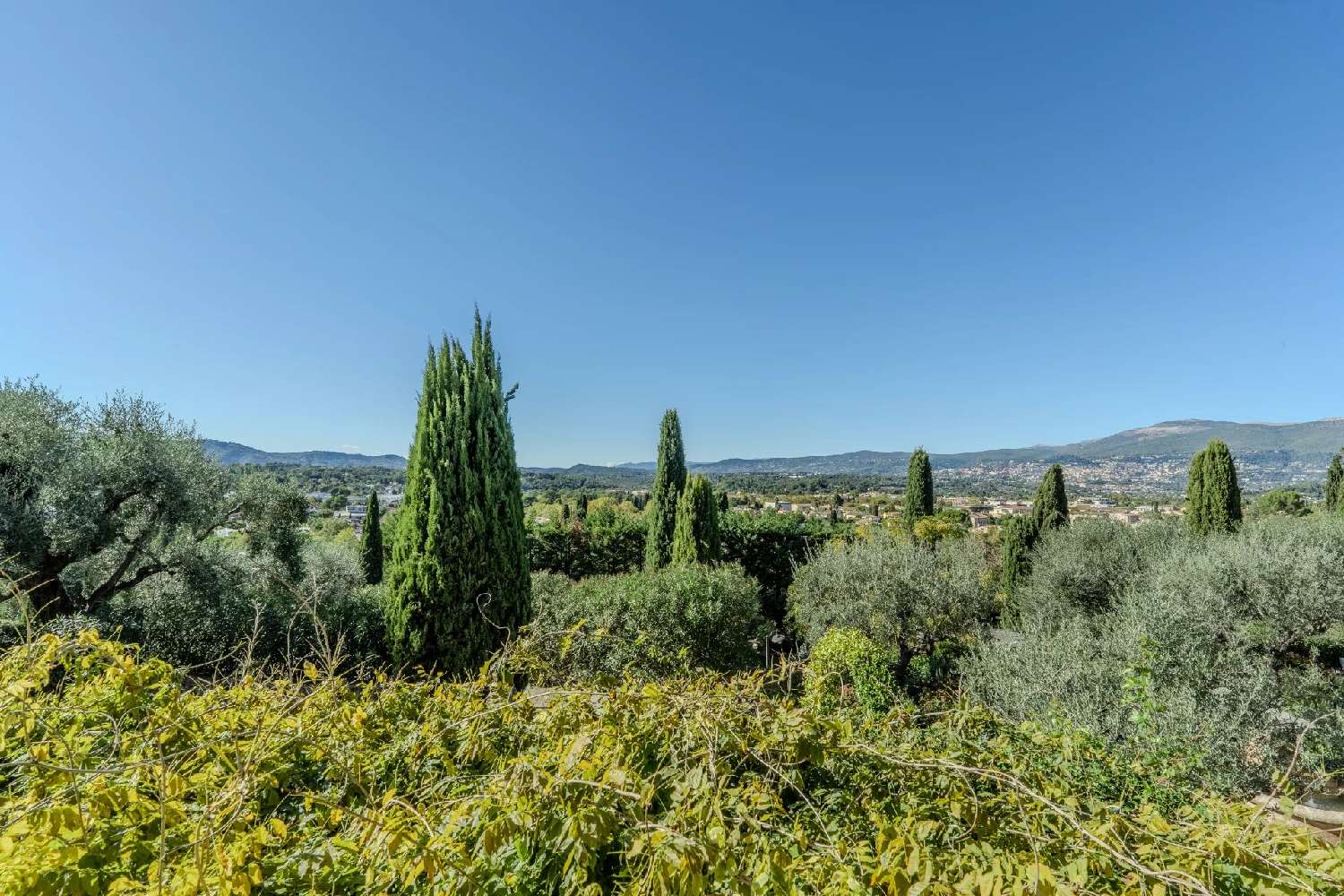 kaufen Villa Mouans-Sartoux Alpes-Maritimes 8