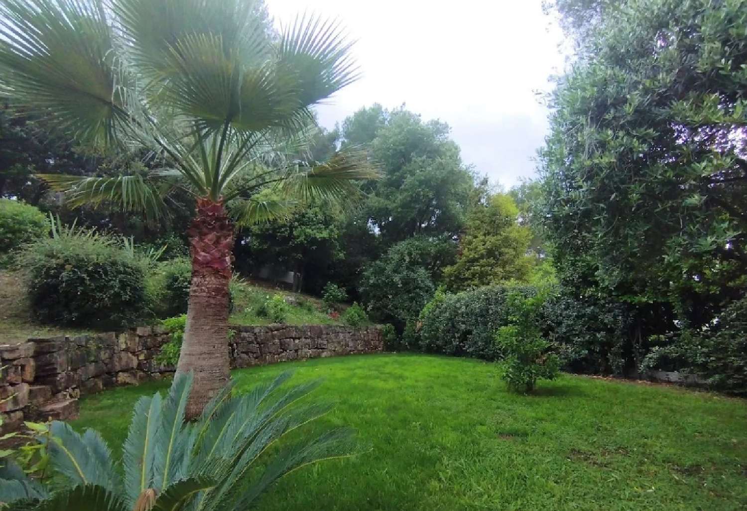  te koop villa Mougins Alpes-Maritimes 8