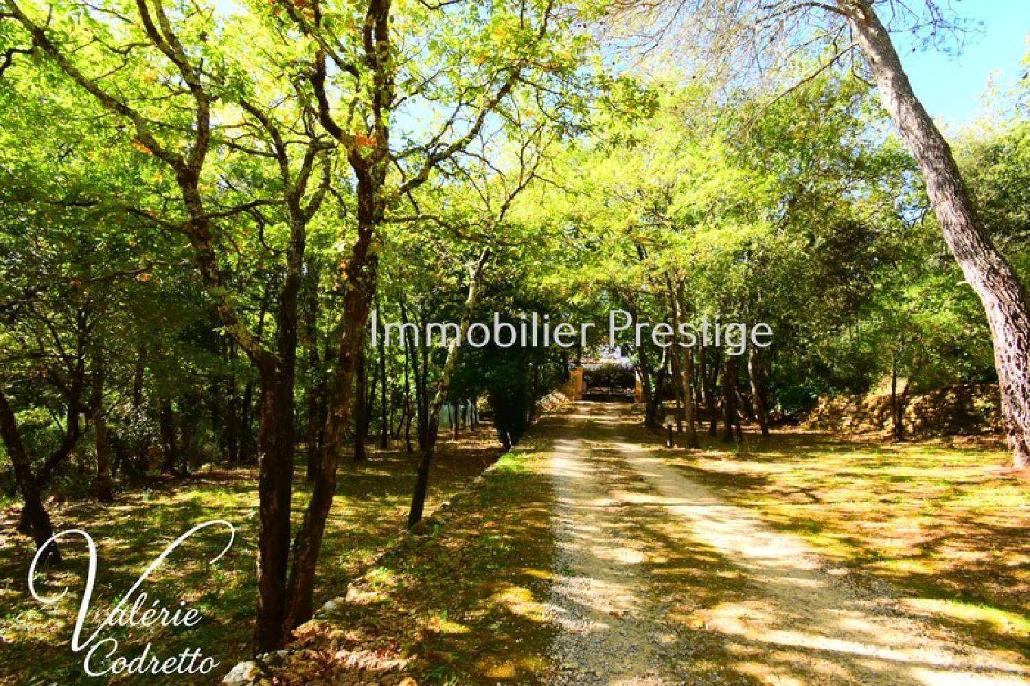 à vendre villa Néoules Var 3