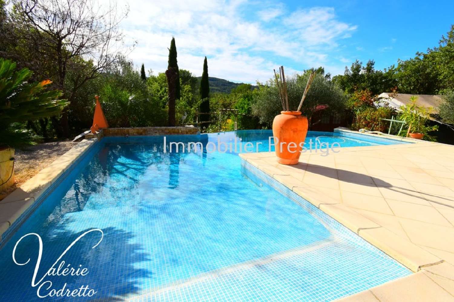 à vendre villa Néoules Var 6