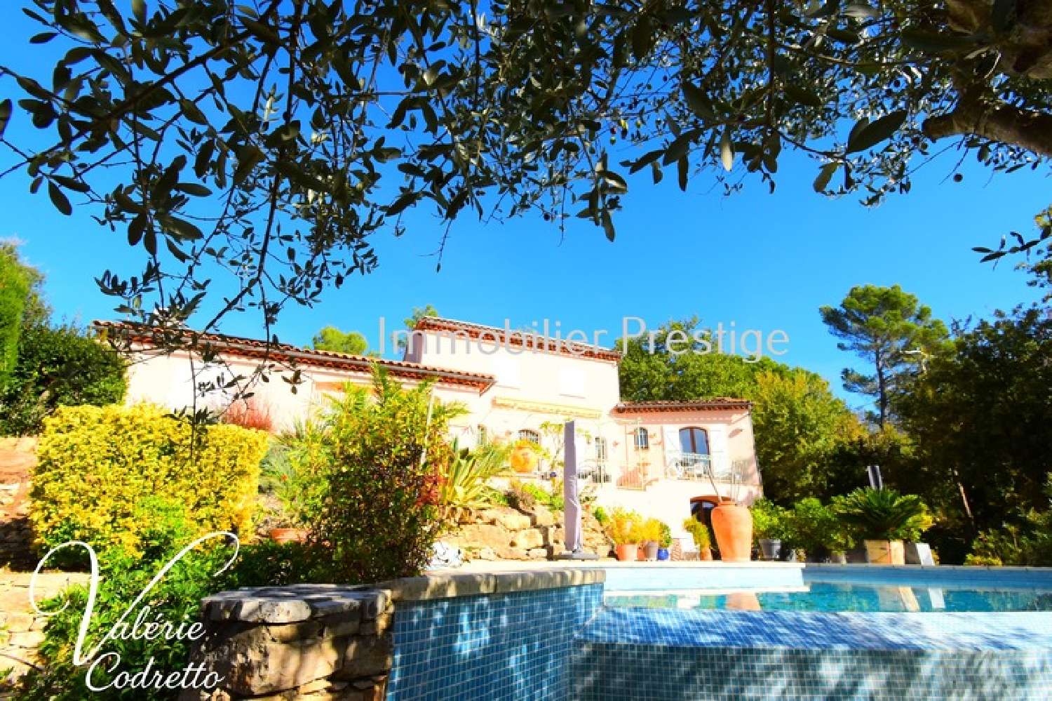 à vendre villa Néoules Var 7