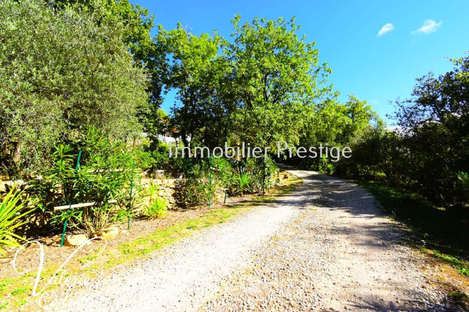 à vendre villa Néoules Var 8