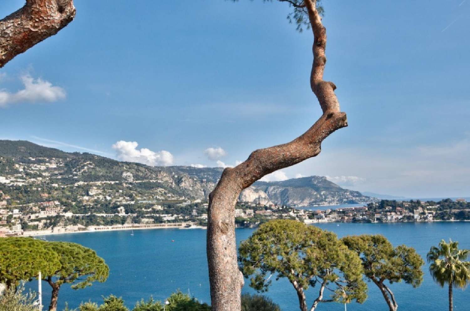  te koop villa Nice 06300 Alpes-Maritimes 2