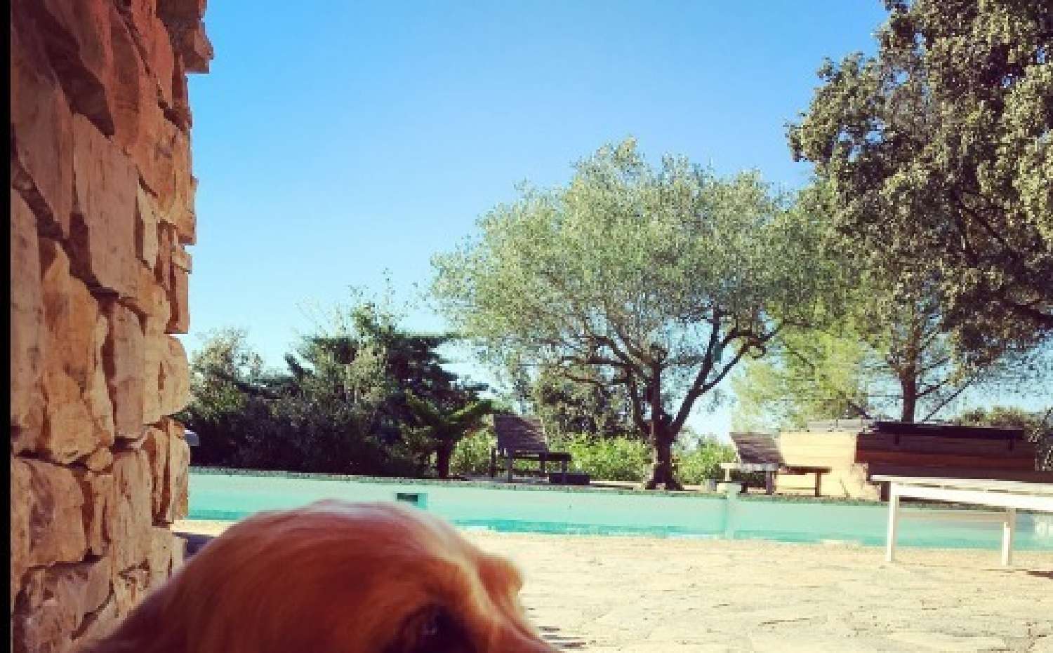  te koop villa Nîmes Gard 2