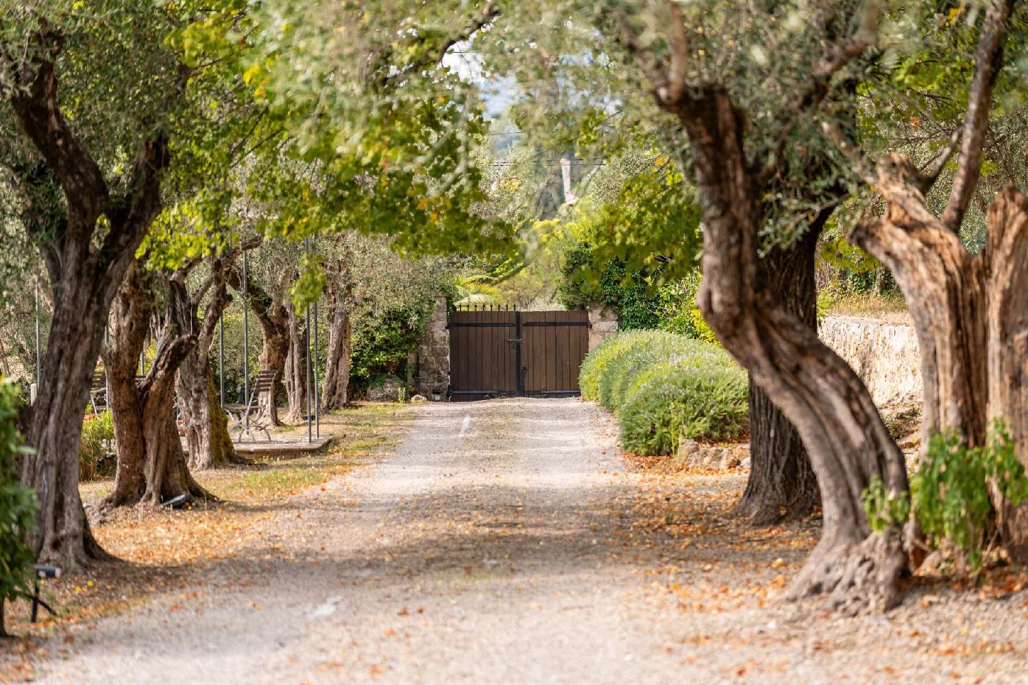 à vendre villa Peymeinade Alpes-Maritimes 3