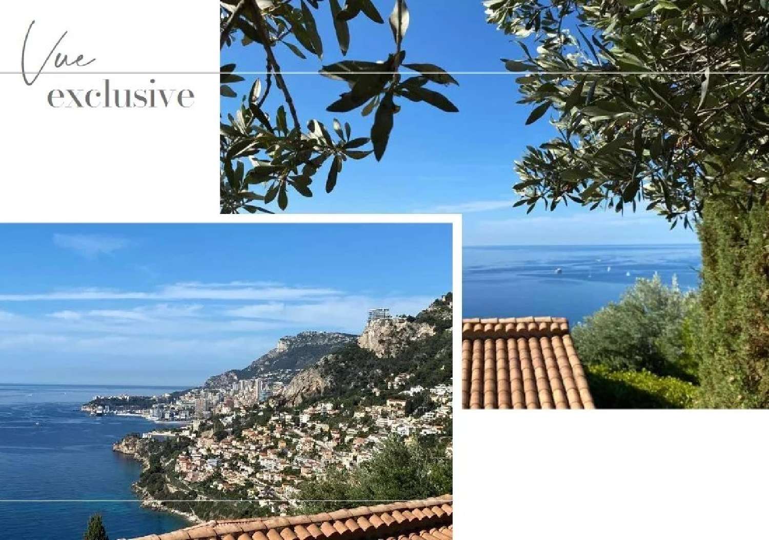 à vendre villa Roquebrune-Cap-Martin Alpes-Maritimes 2