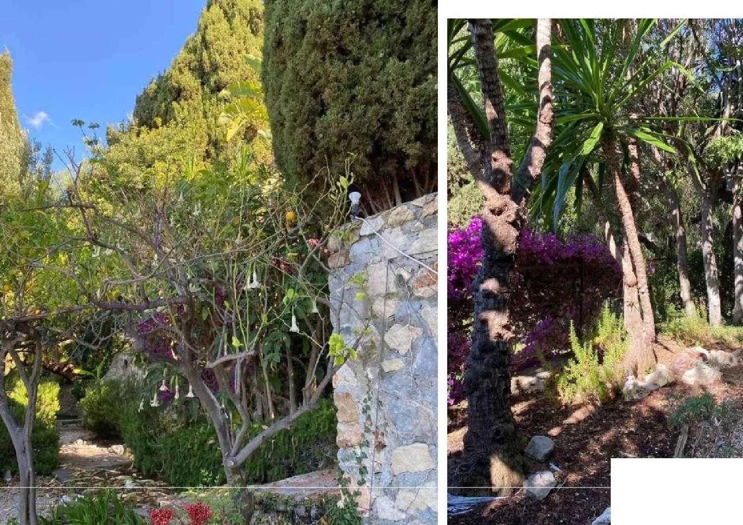 à vendre villa Roquebrune-Cap-Martin Alpes-Maritimes 4