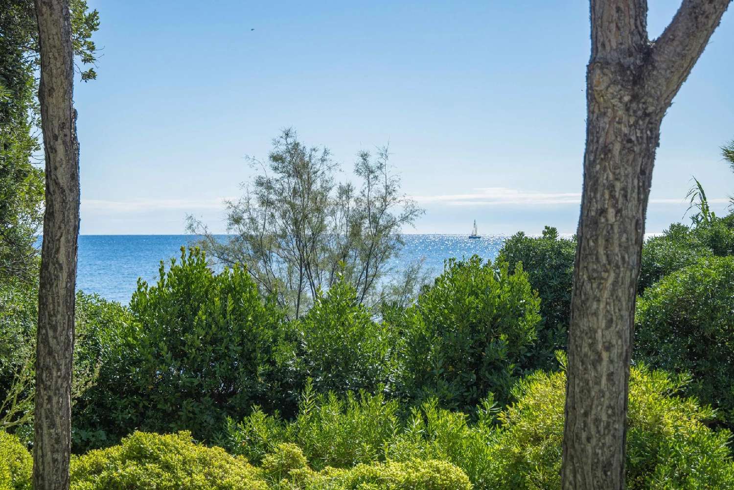 for sale villa Saint-Aygulf Var 8