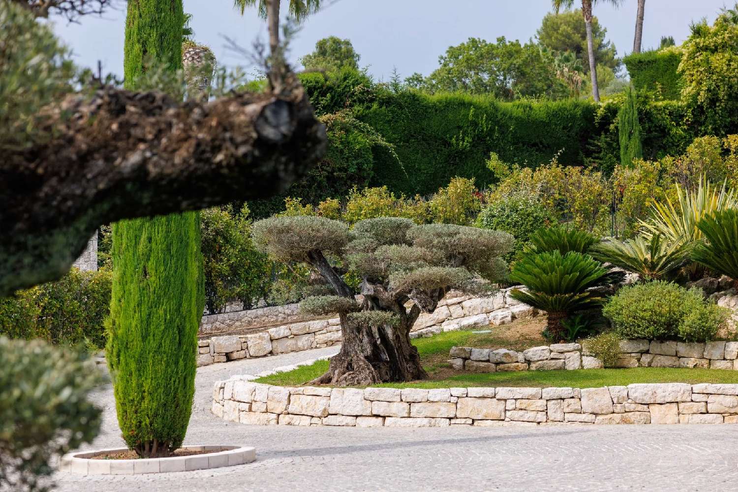  à vendre villa Saint-Paul Alpes-Maritimes 8