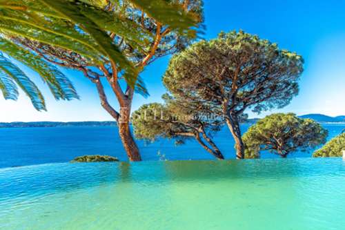 Sainte-Maxime Var Villa Bild 7183010