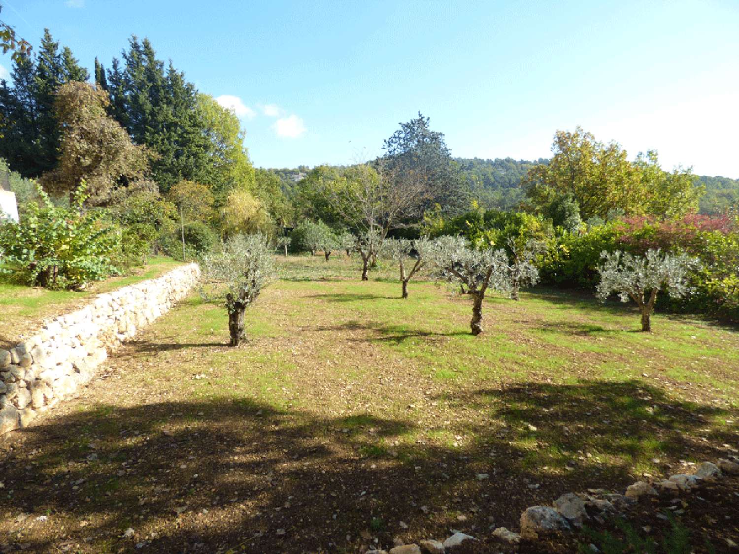 à vendre villa Seillans Var 2