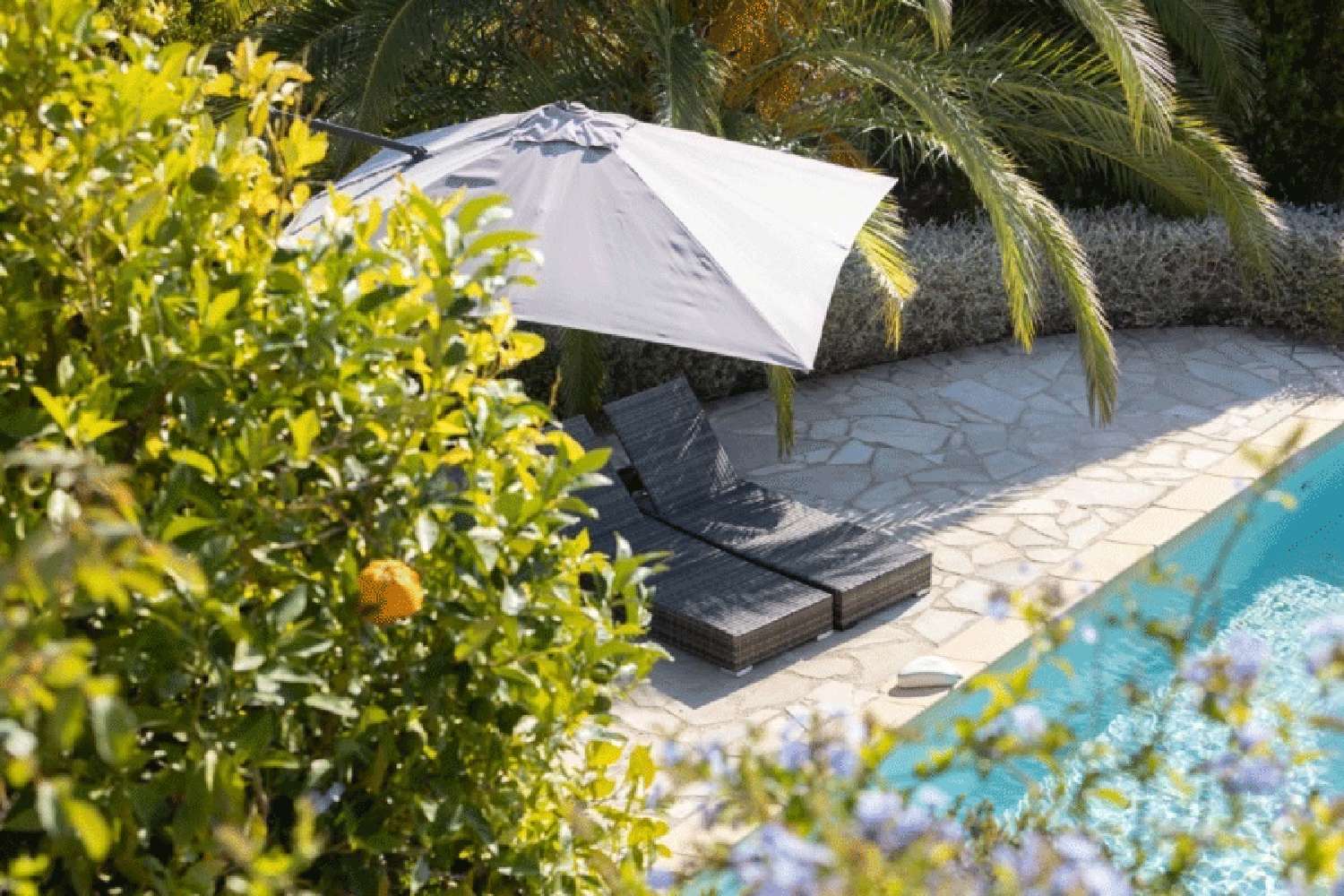  à vendre villa Seillans Var 5