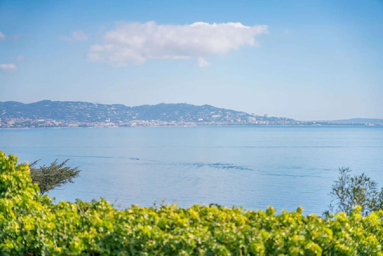  te koop villa Théoule-sur-Mer Alpes-Maritimes 6