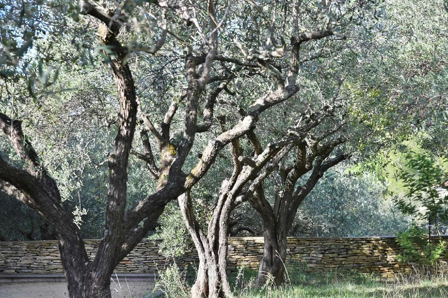  kaufen Villa Uzès Gard 3