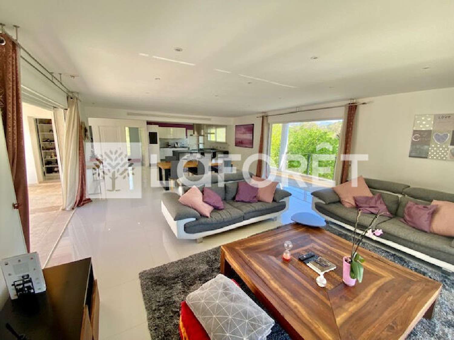 for sale villa Valbonne Alpes-Maritimes 6