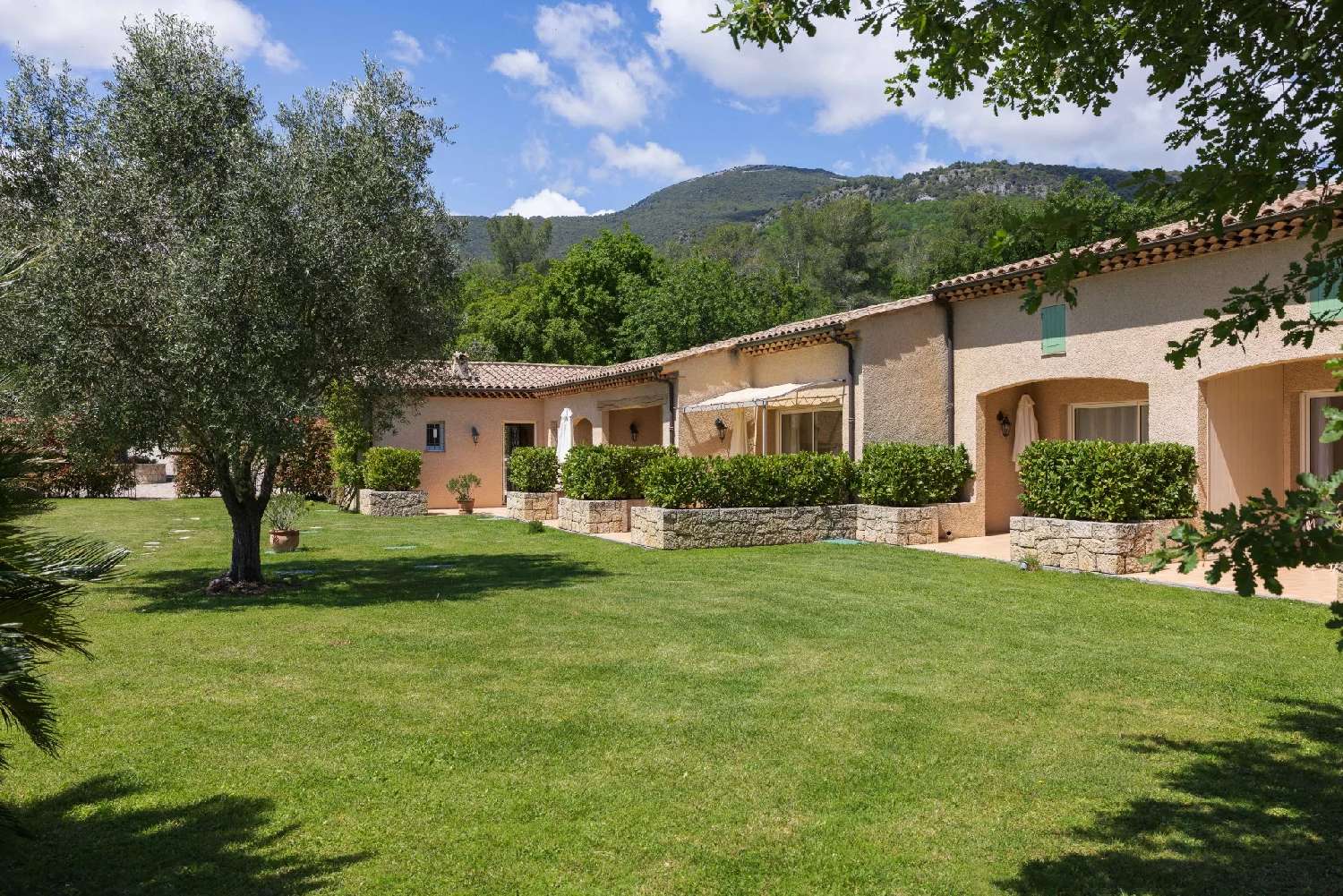 à vendre villa Vence Alpes-Maritimes 7