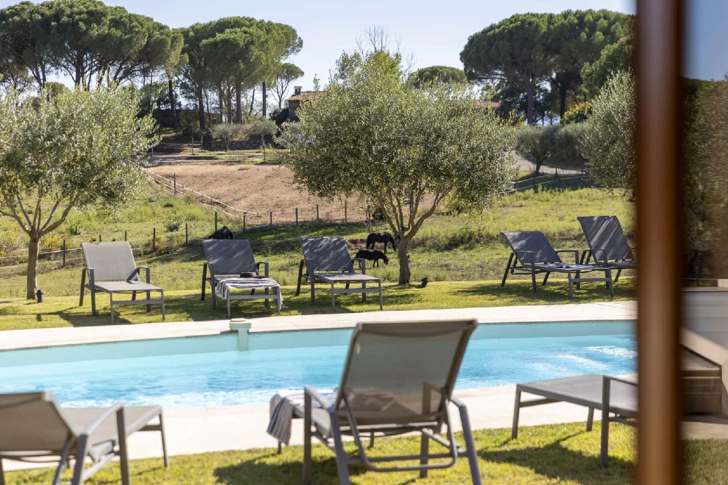  te koop villa Vidauban Var 8