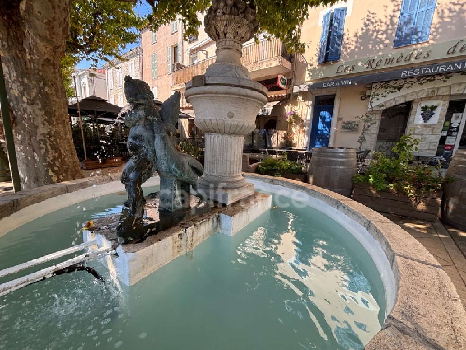  kaufen Dorfhaus Bagnols-en-Forêt Var 1