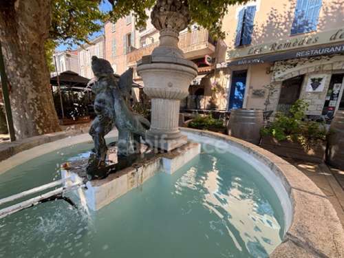 Bagnols-en-Forêt Var Dorfhaus Bild 7209201