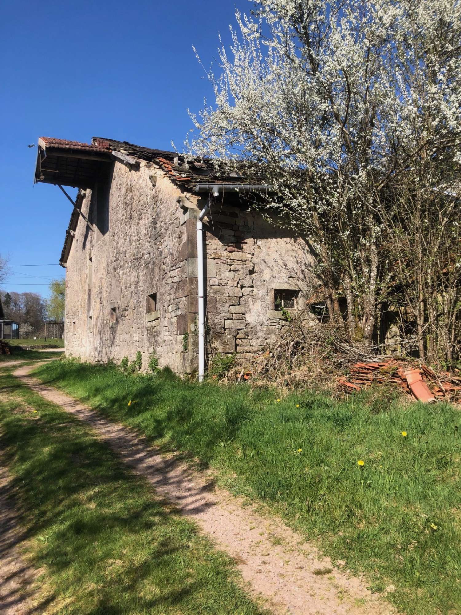  en venta casa de pueblo Bellefontaine Vosgos 5