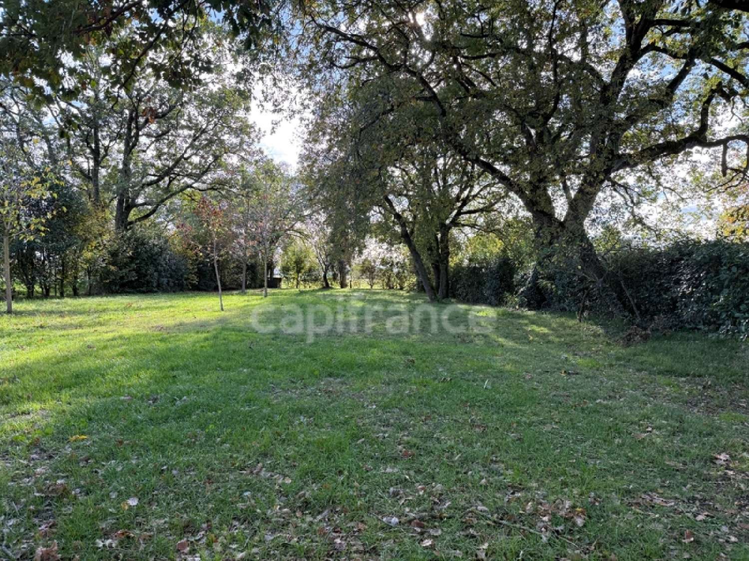  for sale village house Bérat Haute-Garonne 5