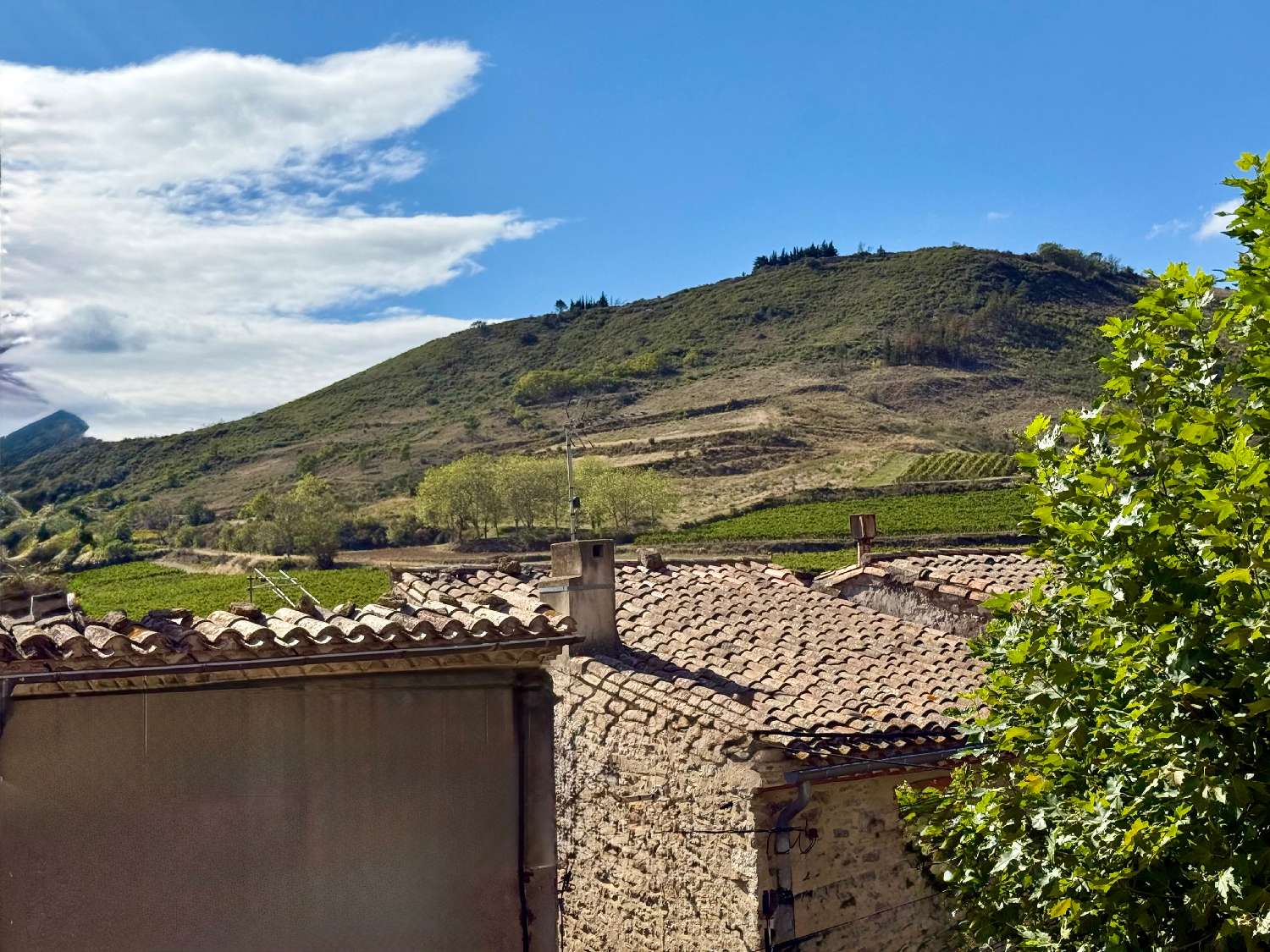  te koop dorpshuis Carcassonne Aude 3