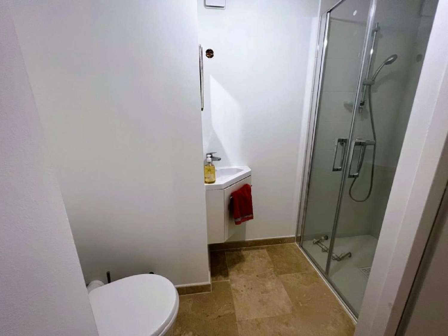  te koop dorpshuis Carla-Bayle Ariège 6