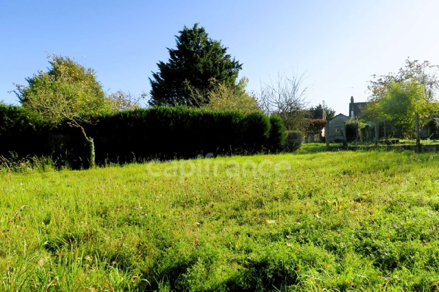à vendre maison de village Droué Loir-et-Cher 8