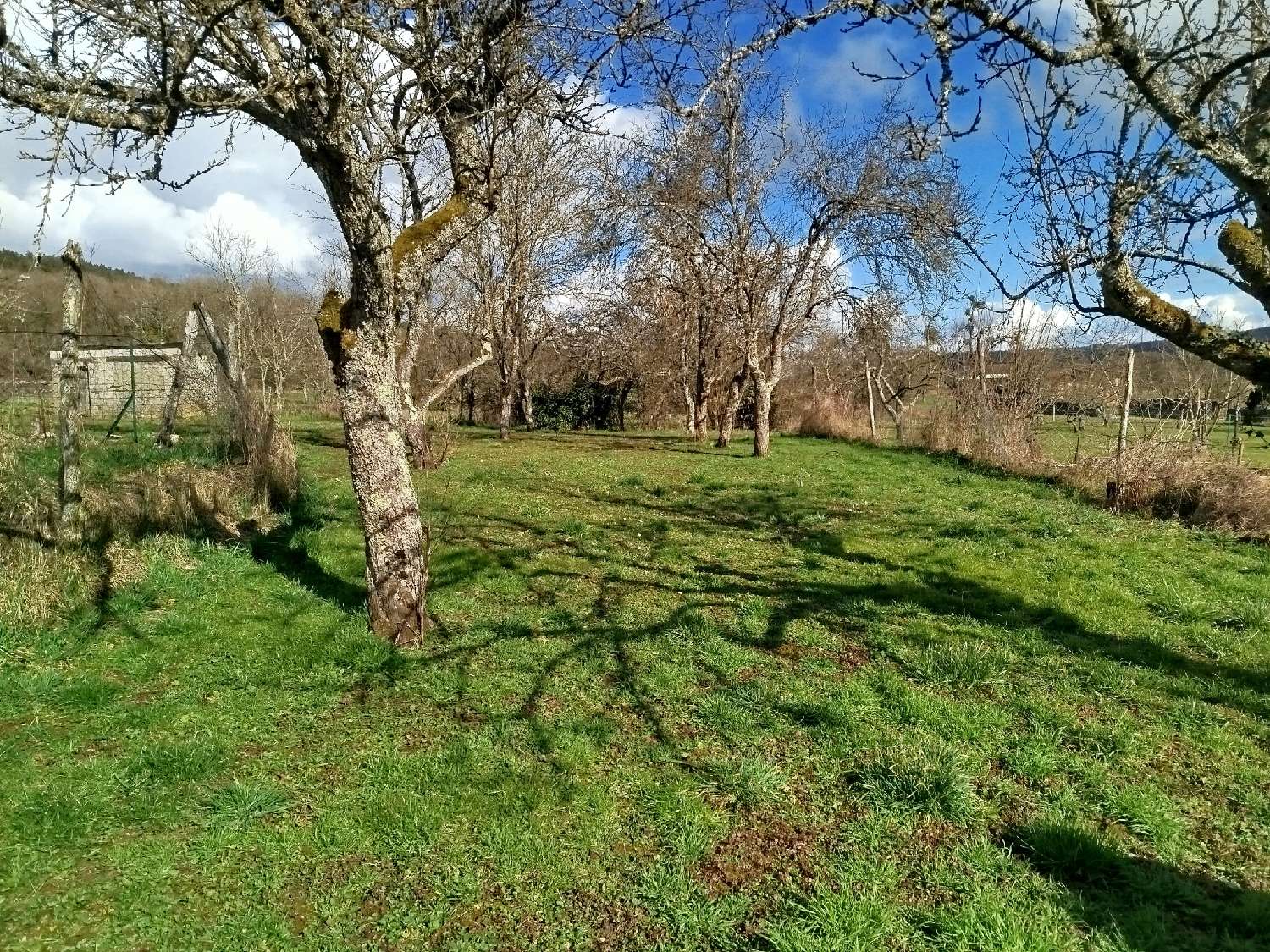  à vendre maison de village Fayl-Billot Haute-Marne 3