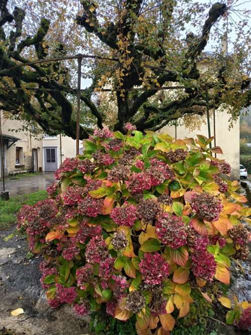 Lacombe Aude dorpshuis foto 7208014