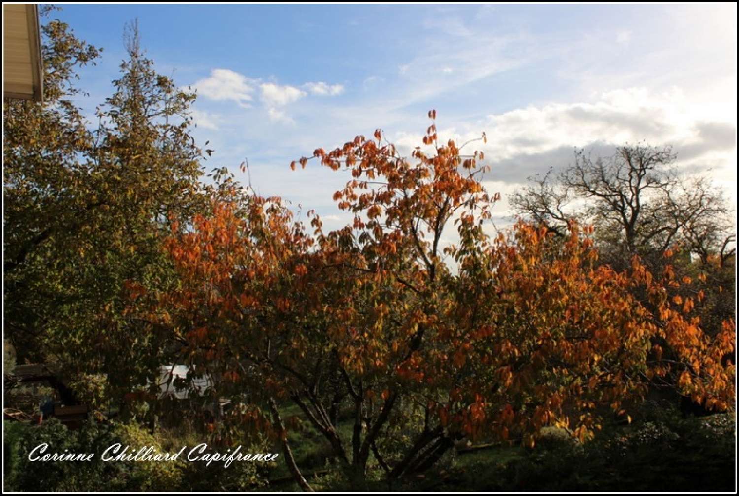  kaufen Dorfhaus Mars-la-Tour Meurthe-et-Moselle 7