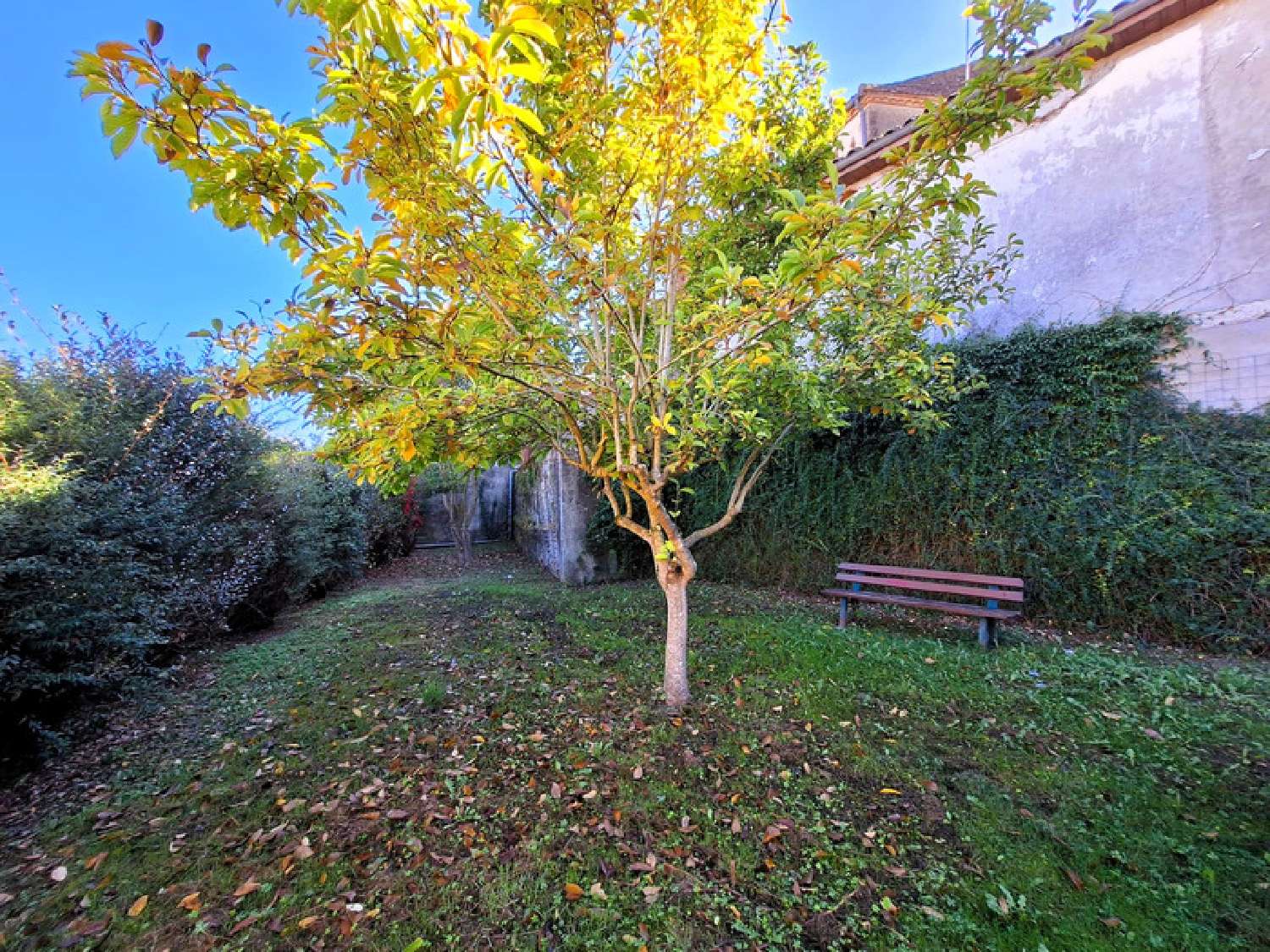 à vendre maison de village Riscle Gers 4