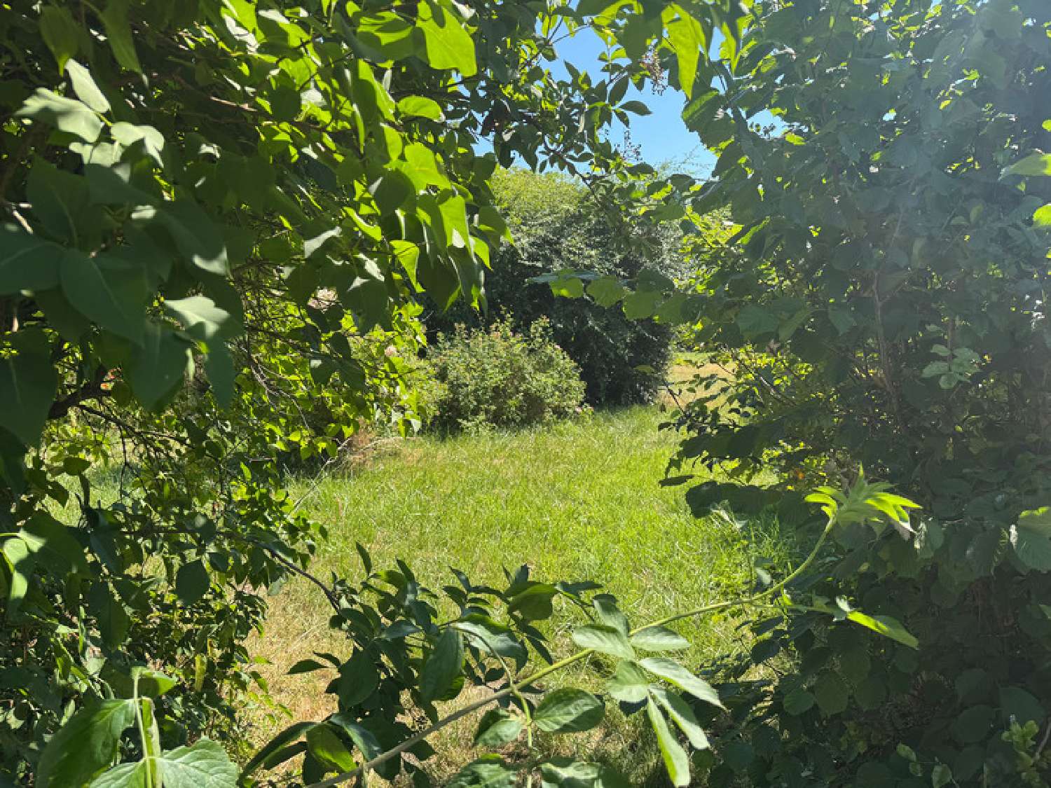  for sale village house Saint-Berain-sous-Sanvignes Saône-et-Loire 4