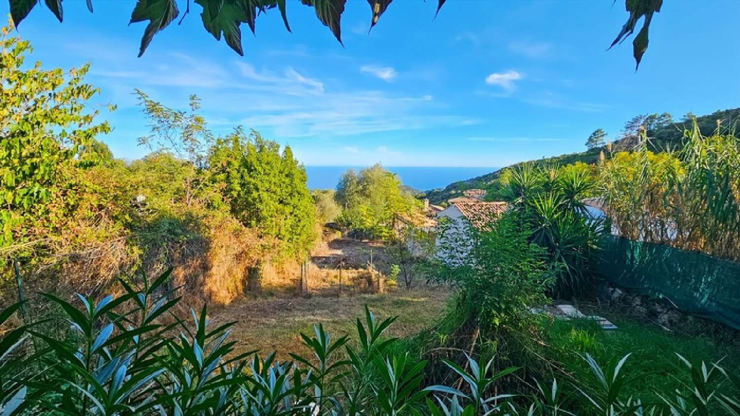  te koop dorpshuis Sari-Solenzara Corse-du-Sud 3