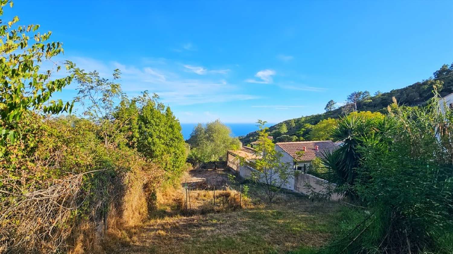  te koop dorpshuis Sari-Solenzara Corse-du-Sud 4