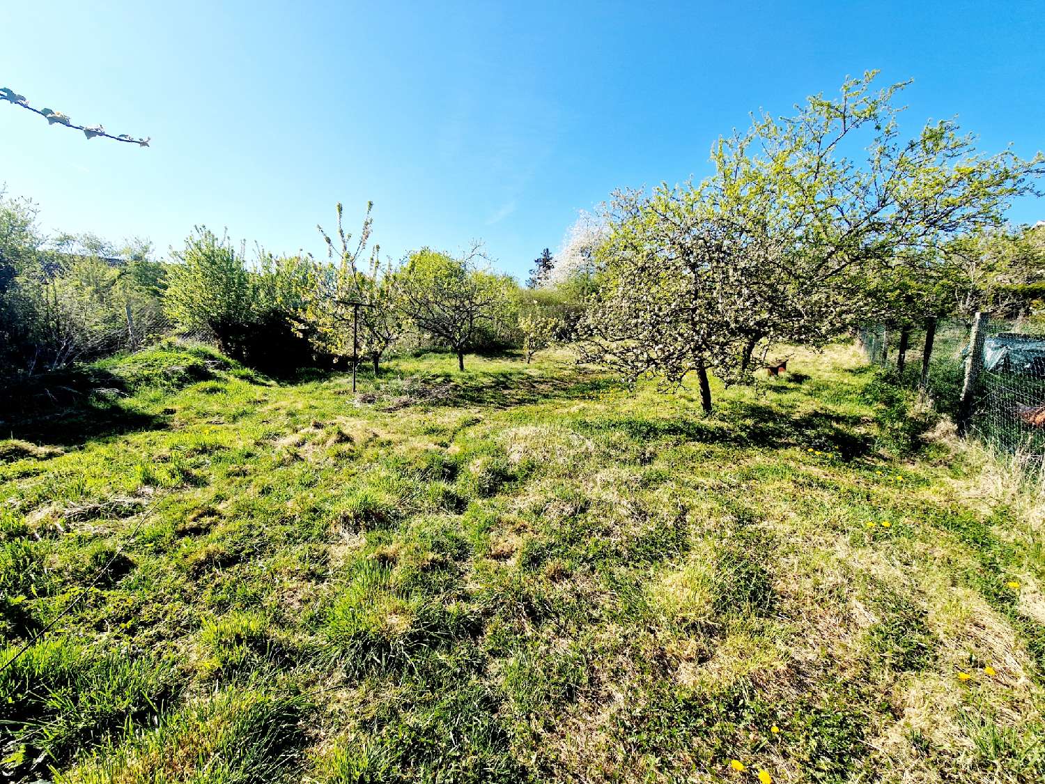  à vendre maison de village Serqueux Haute-Marne 7