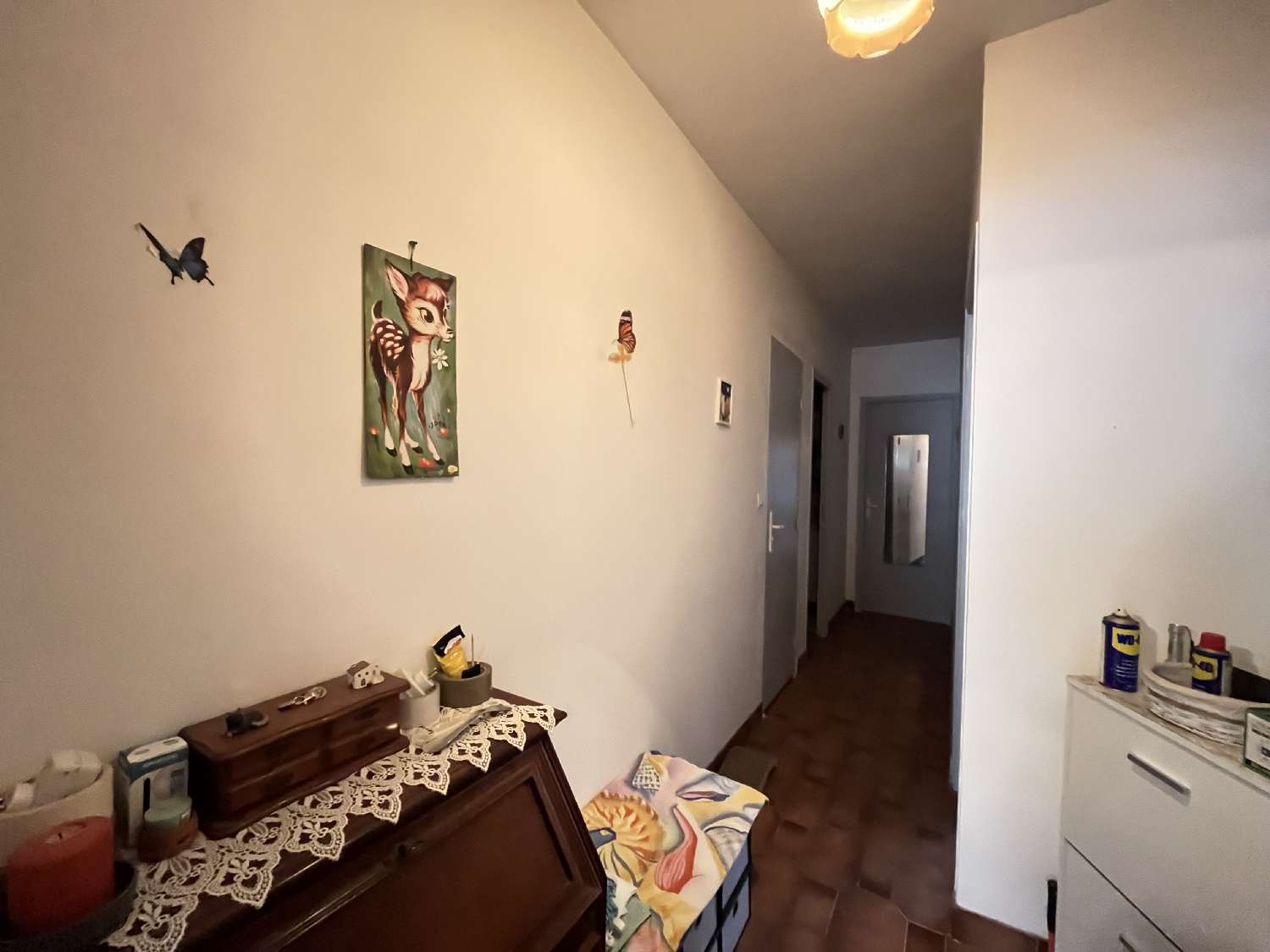  à vendre appartement Agde Hérault 6