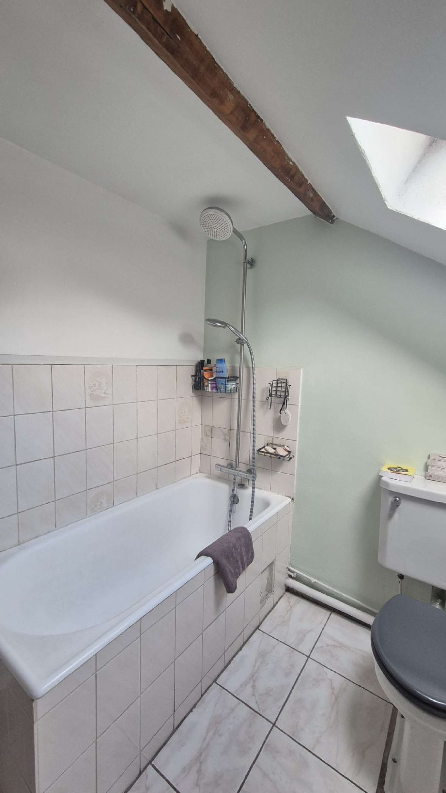 te koop appartement Aix-les-Bains Savoie 5