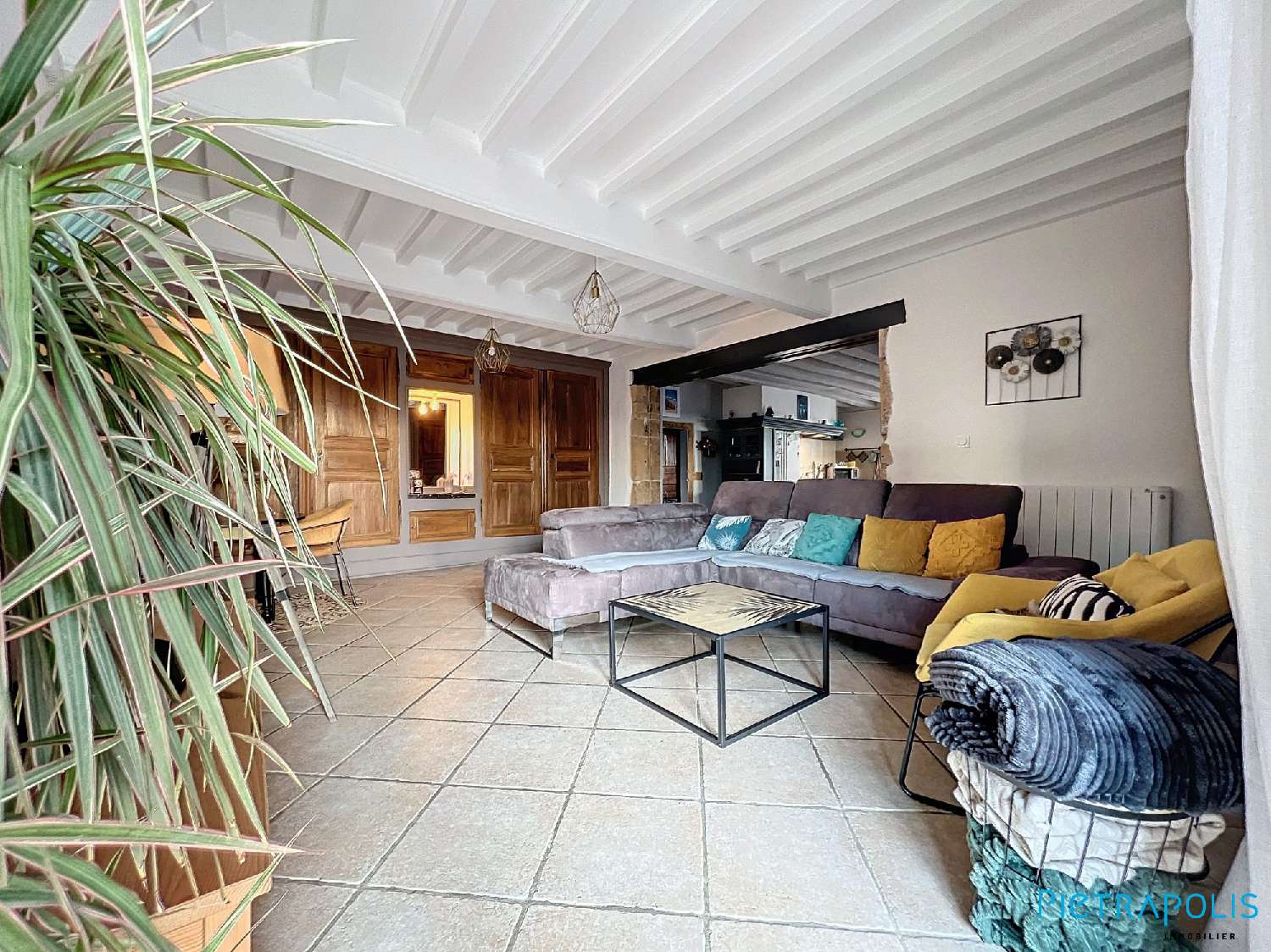 te koop appartement Ancy Rhône 8