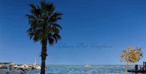 Arcachon Gironde appartement foto 7228759