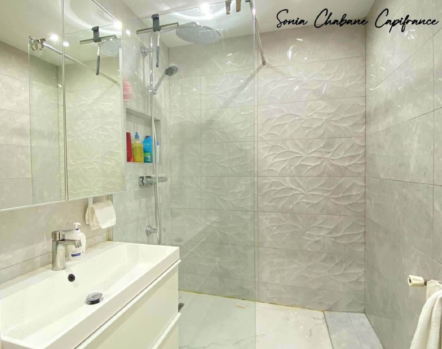 à vendre appartement Bron Rhône 6