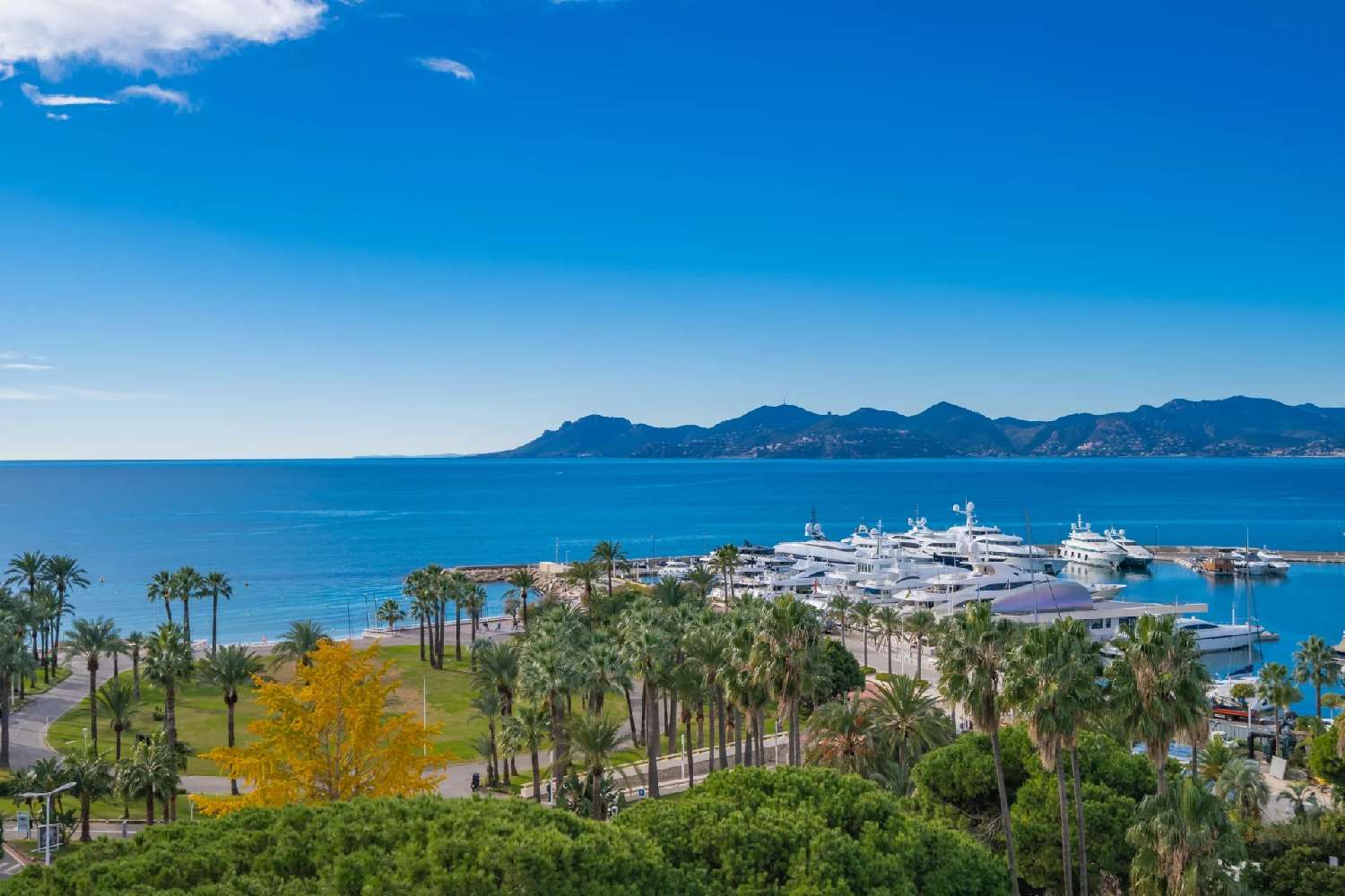  for sale apartment Cannes Alpes-Maritimes 8