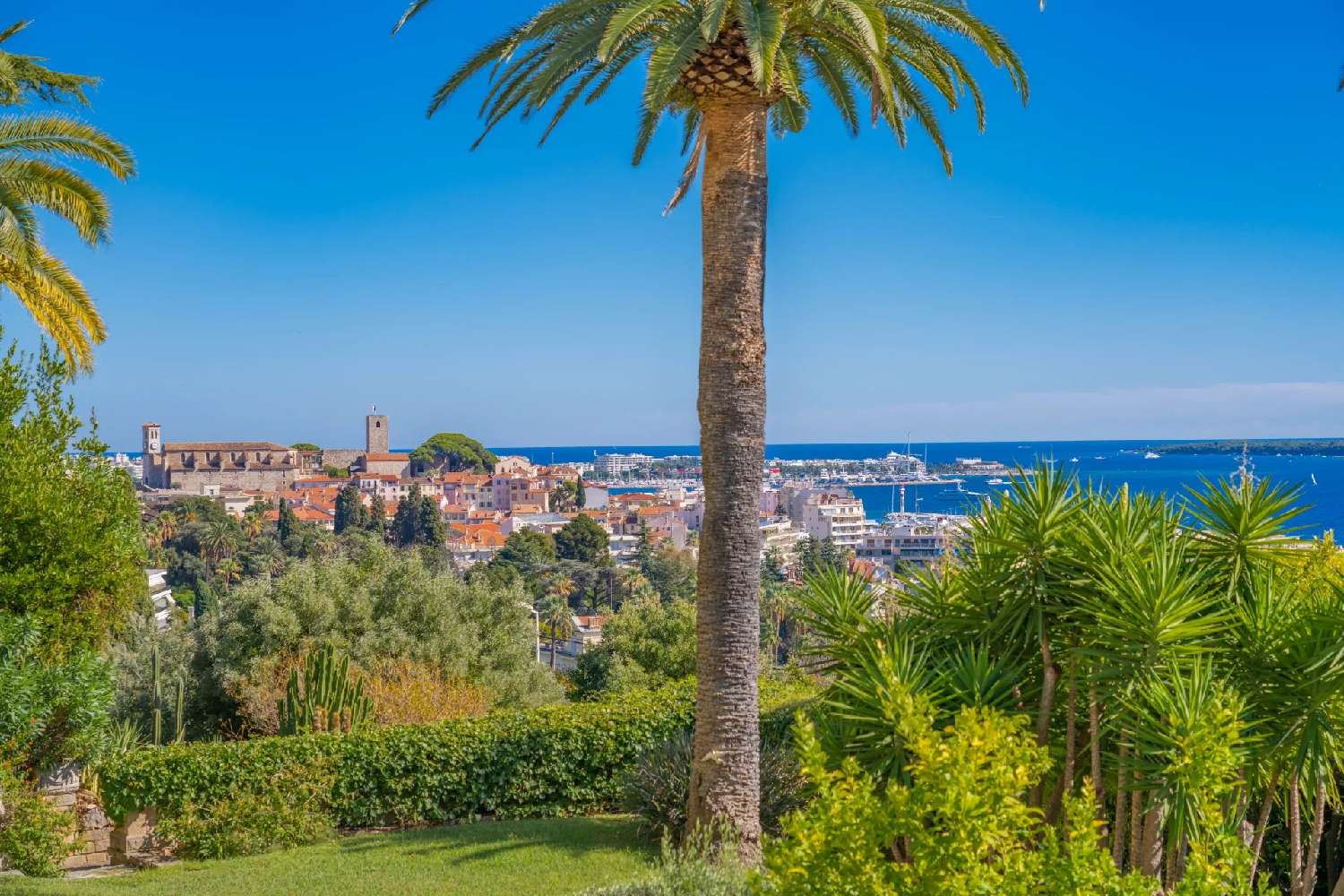  à vendre appartement Cannes Alpes-Maritimes 6