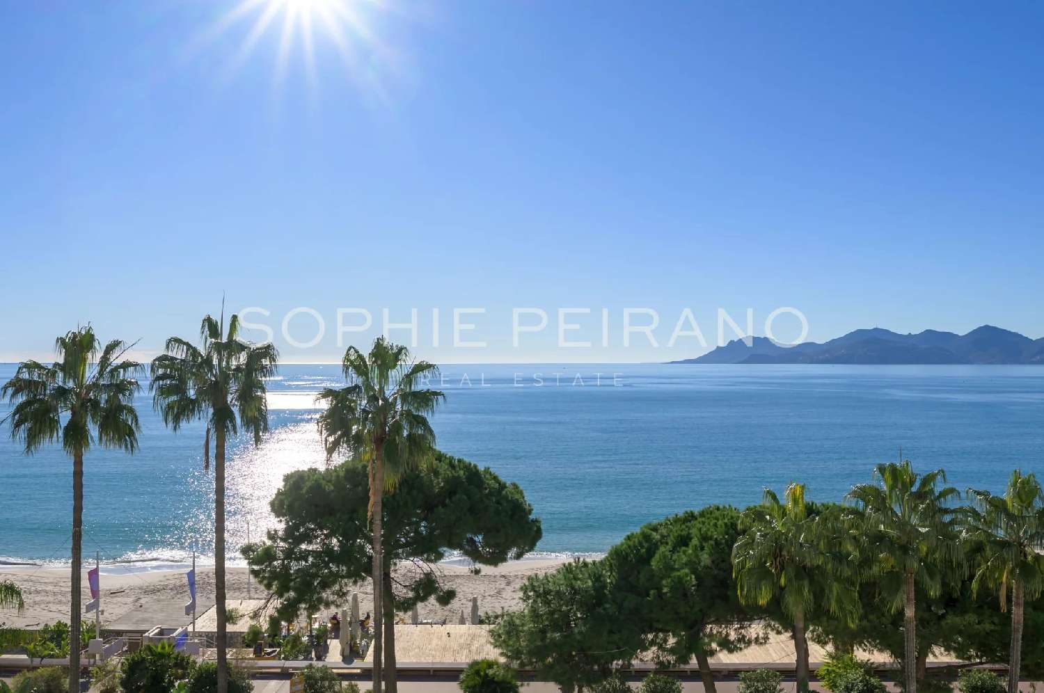  te koop appartement Cannes Alpes-Maritimes 1