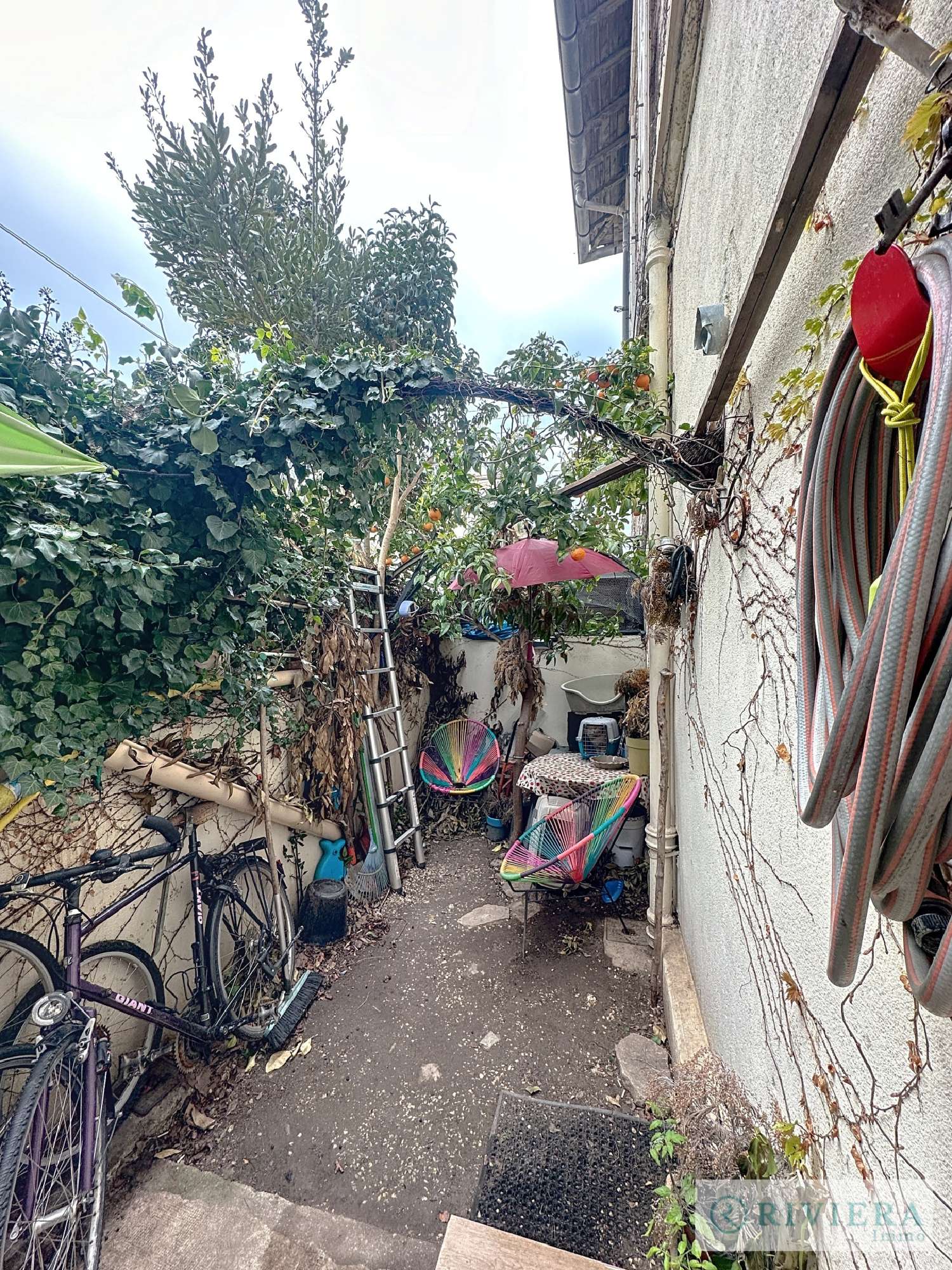 for sale apartment Cannes Alpes-Maritimes 5