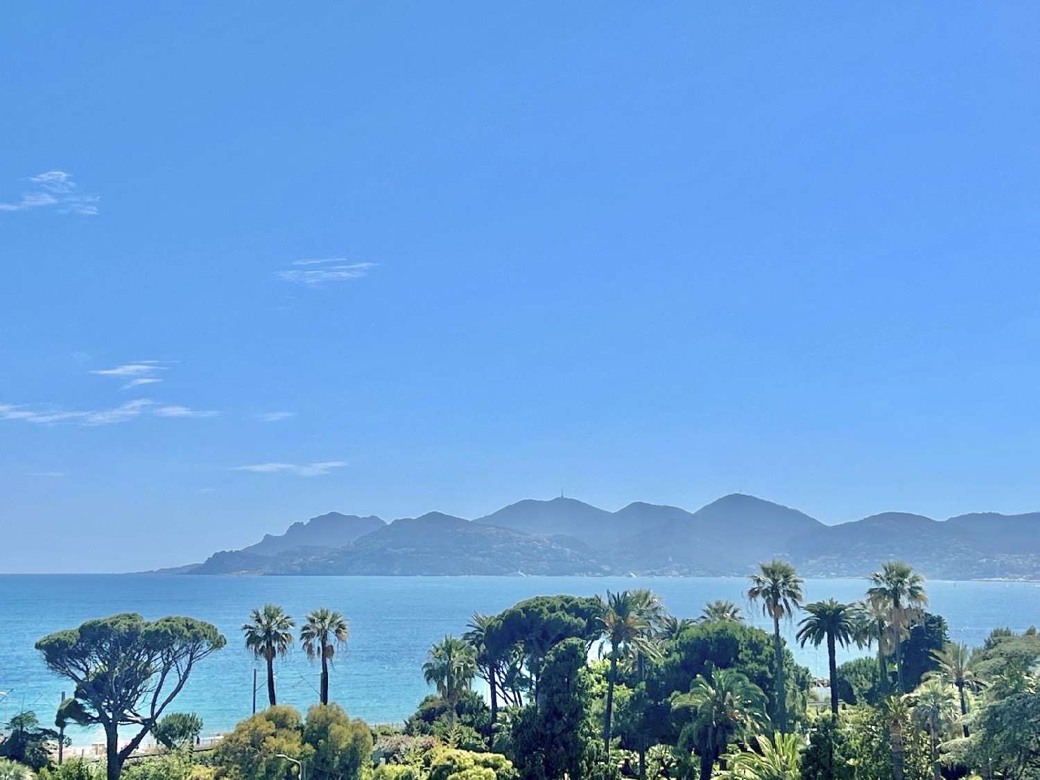 for sale apartment Cannes Alpes-Maritimes 3