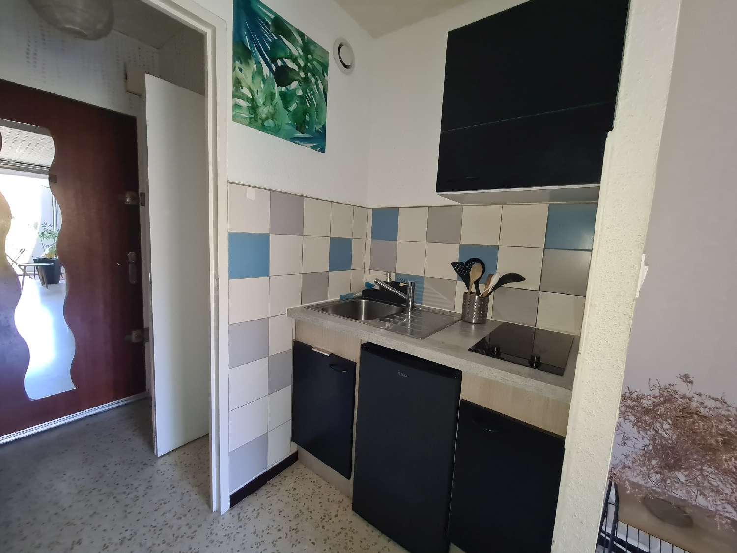  te koop appartement Carnon-Plage Hérault 7